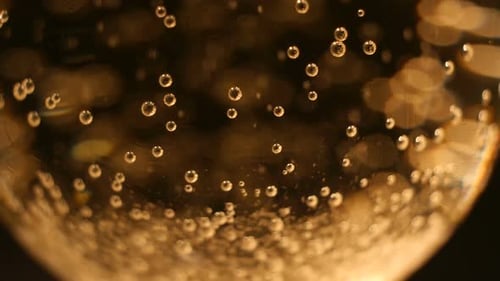 Bubbles in a Champagne Glass Close Up