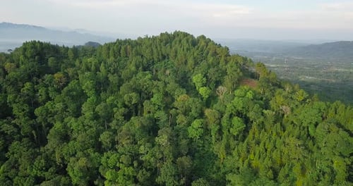 Drone flying near mountains and volcano covered by green trees in Indonesia.
hill and forest in tro