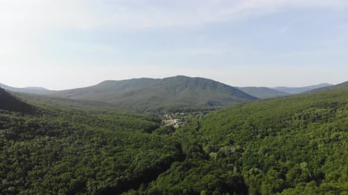 Aerial top view of summer green trees in forest background, Caucasus, Russia.