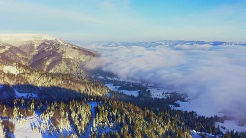 Alta montaña nevada cubierta de abetos de hoja perenne en un día frío y soleado