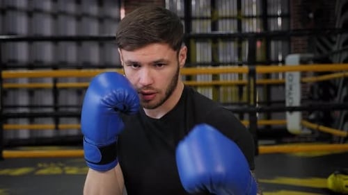 Portrait of a Young Muscular Guy in Blue Boxing Gloves in the Gym