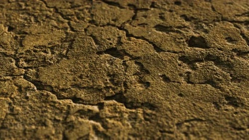 Closeup of Dirty Ground Road