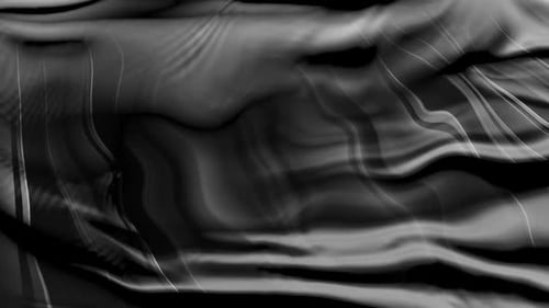 Abstract Black and White Fluid Wave Background Animation