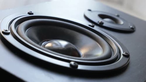 Hi-Fi speaker membrane vibrations 4K 2160p 30fps UltraHD footage - Close-up of acoustic diaphragm