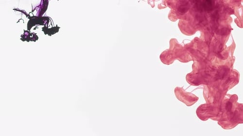 Swirling Pink and Purple Ink Abstract in Water