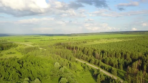 Naturaleza de Forest Road