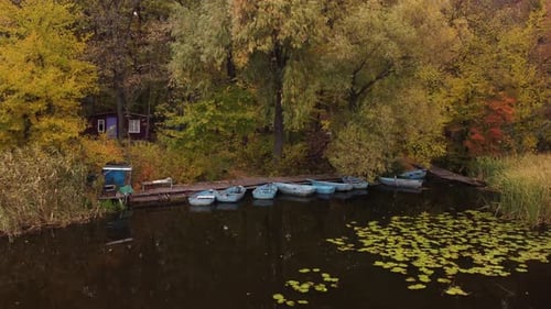 old pier by the river with a forest. aerial panorama