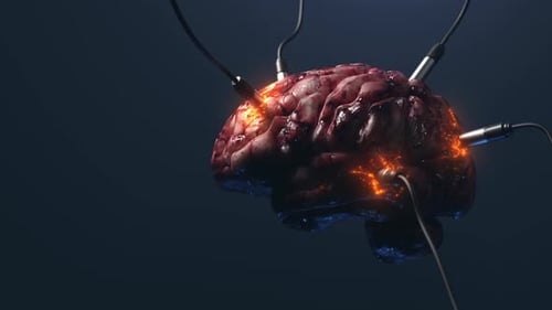 Artificial Intelligence. image of the brain with different dachiks