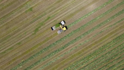 Machine Farming