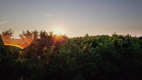 Beautiful Sunset Sky Over a Green Meadows
