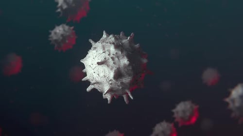 3D Animated Microscopic Cell Rotating in Medical Science