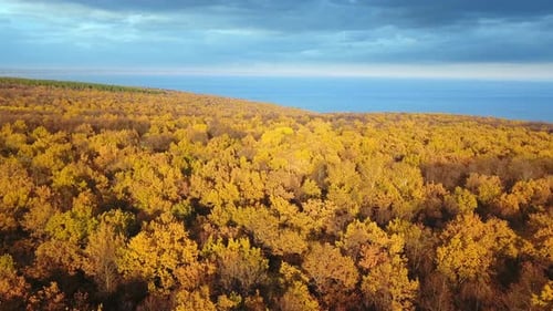 Natur Herbst