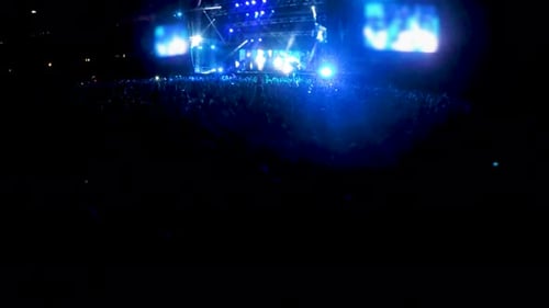 Crowd Attending Vibrant Concert at Night