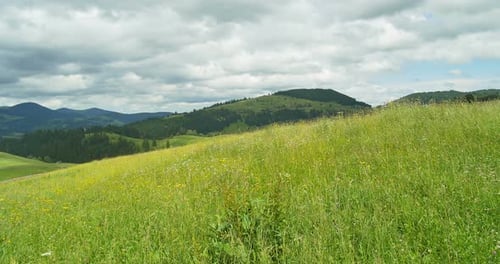Green mountains. Cloudy sky and hills meadow. Panning