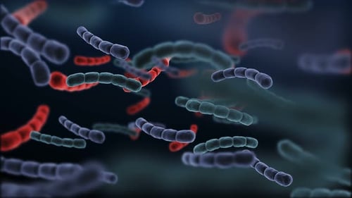 Animated 3D Microorganisms Flowing in Scientific Medical Background