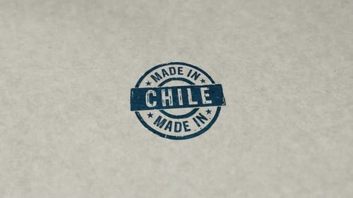 Made in Chile stamp and stamping loop