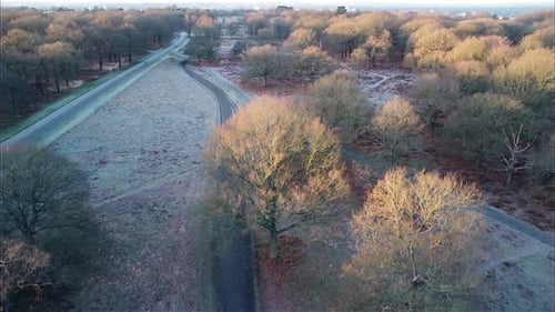 Winter London Park Forest Drone Aerial Sunrise Sunset