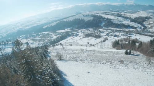 Luftaufnahme von schneebedeckten Bäumen in den Bergen im Winter
