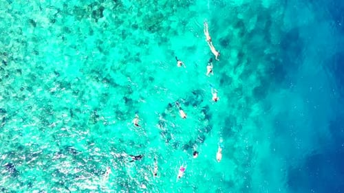 Aerial top down abstract of exotic tourist beach trip by blue ocean and white sandy background of jo