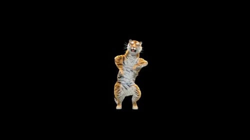 Tiger-Tanz HD