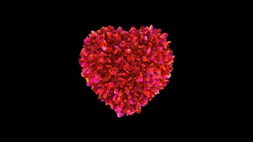 Romantic Red Rose Petal Heart Animation Loop