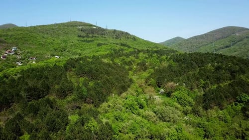 Aerial Background Green Pine Forest in Caucasian Mountains, Russia