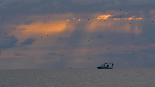Fischbootfahrer und Möwen