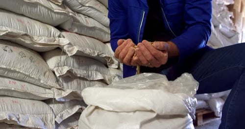 Man Inspects Grain in Rural Warehouse