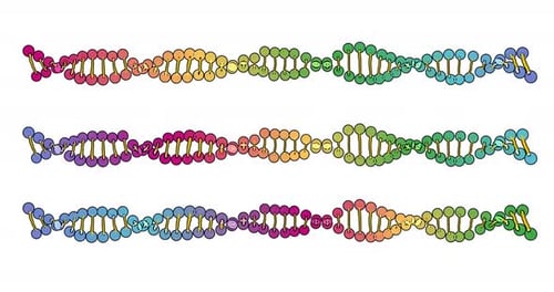 Color Visualization of DNA Analysis Isolated on White Background 3d Rotation Animation for Montage