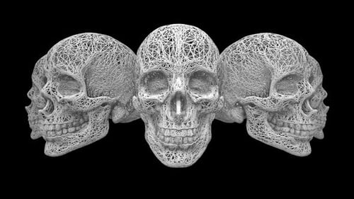 Structured Skulls 01