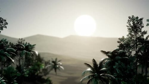 Lush Tropical Landscape with Bright Sun Over Mountains