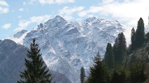 8K High Snowy Mountain Peak Behind the Forest