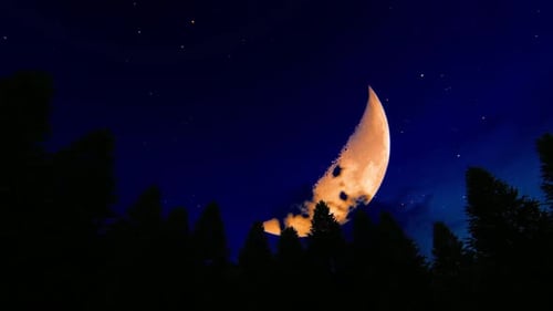 Red Moon At The Forest