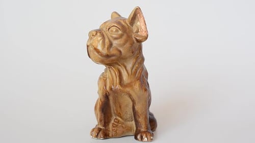 Dog 19