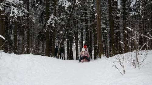 Two Little Girls Girlfriends in Winter Sledding