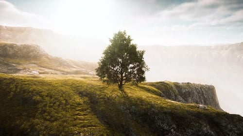 Panoramic Landscape with Lonely Tree Among Green Hills