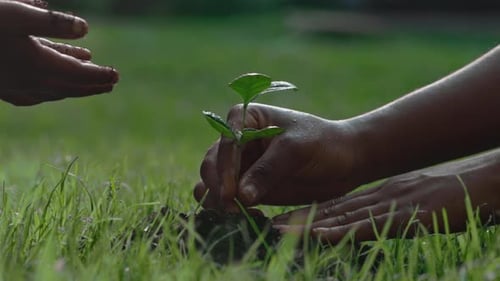 African Mother and Child Planting in Ground Green Sprout