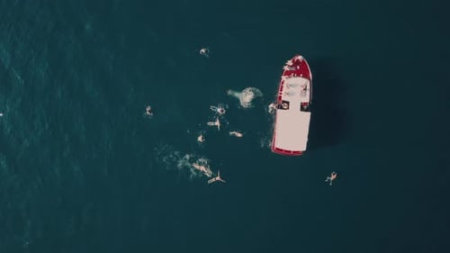 Aerial view of swimming people at sea by boat in the mountains in Montenegro