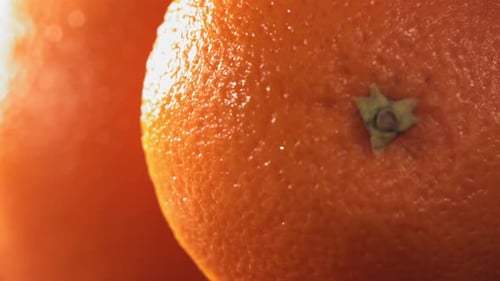 Close Up of Fresh, Juicy Oranges