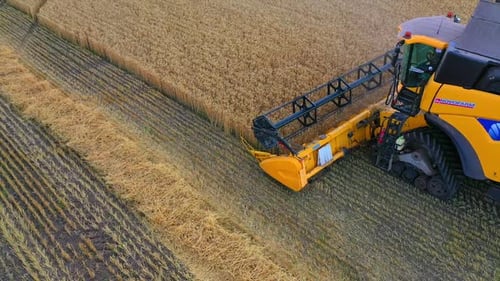 Combine harvester working on a wheat field. Combine harvester Aerial view.