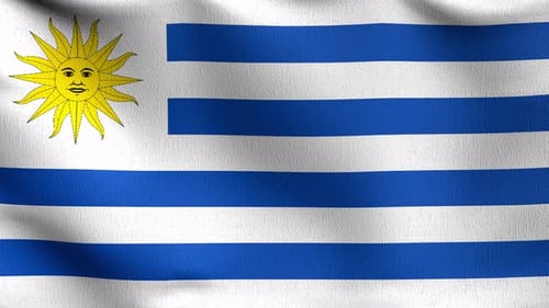 Seamless Loop 4K VDO. Uruguay national flag blowing in the wind isolated.