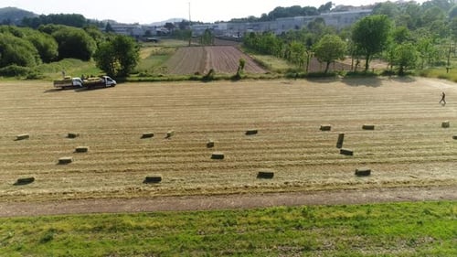 Agricultural Industry