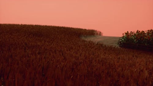 Gold Wheat Field at Sunset Landscape
