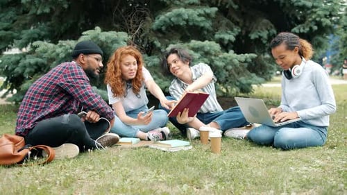 Young Adults Studying Together in Park on Grass