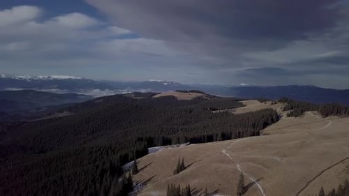 Flying Over Forest in the Mountains