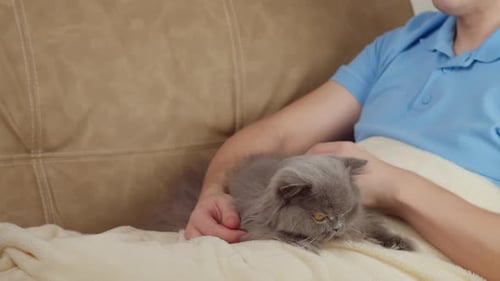 Man Pets Grey Cat on Beige Couch