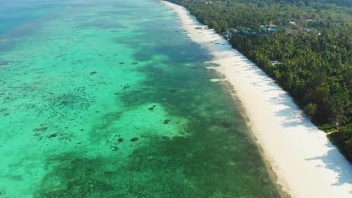 Aerial drone: uncontaminated coastline tropical beach caribbean sea coral reef palm tree woodland