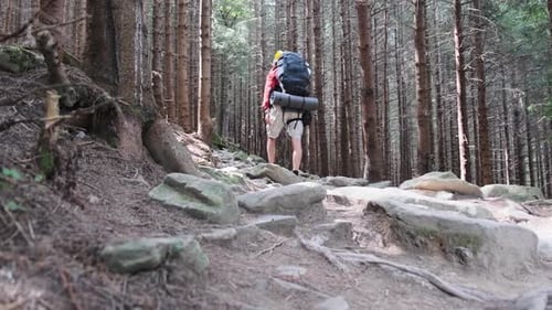Tourist with a Backpack Walking Up Along the Stone Mountain Trail in the Forest.