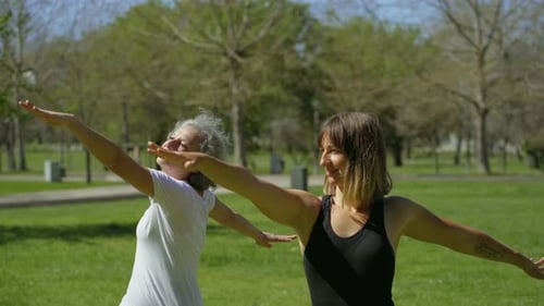 Two Women Practicing Yoga in Sunny Summer Park.