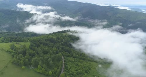 Dense Green Forest in the Spring and Winding Mountain Road Covered with Mist, Drone View